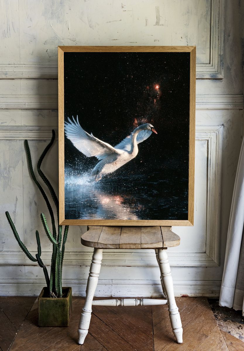 Swan in Starlight Illustration Poster. room preview