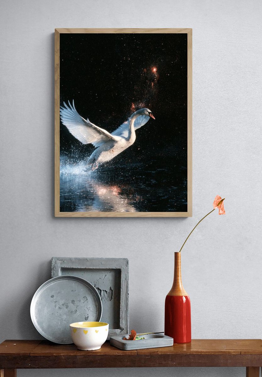 Swan in Starlight Illustration Poster. — room view 3