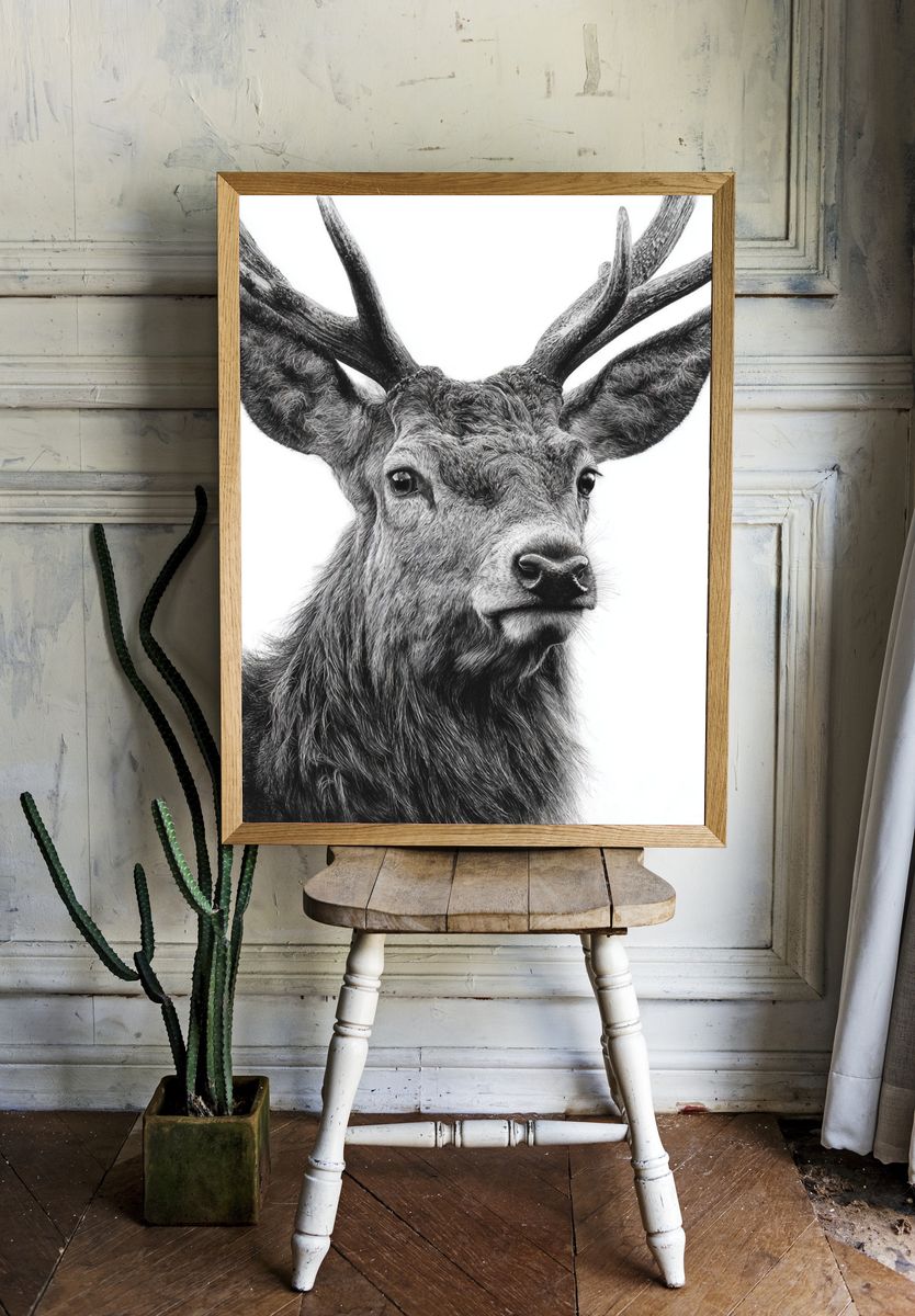 Majestic Deer Black-White Print. — room view 1