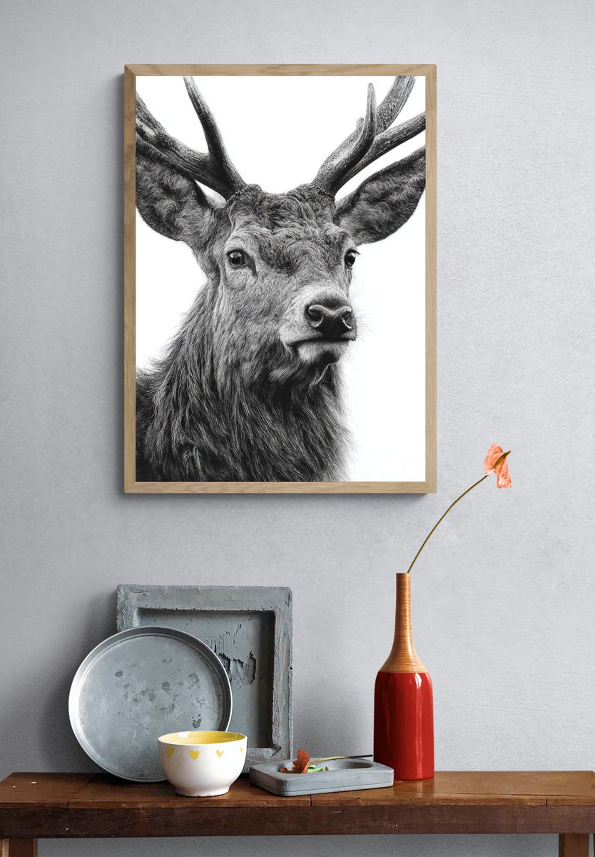 Majestic Deer Black-White Print. — room view 3