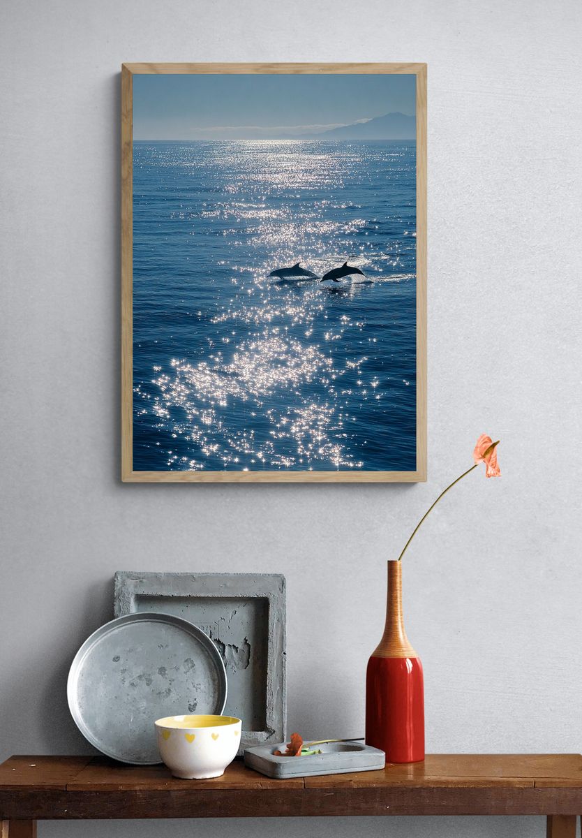 Dolphins at Sea Photography Poster. — room view 3