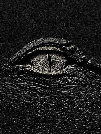 Crocodile Eye Photography Poster.
