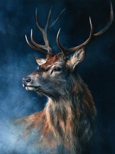 Majestic Stag Portrait Print. poster