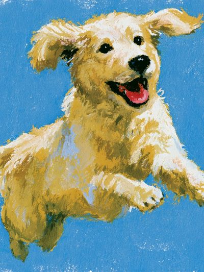 Playful Golden Retriever Illustration Poster.