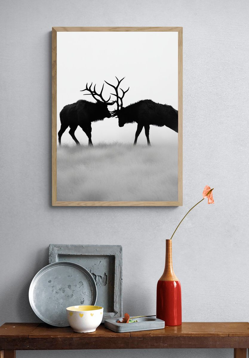 Stag Duel Black-White Poster. — room view 3