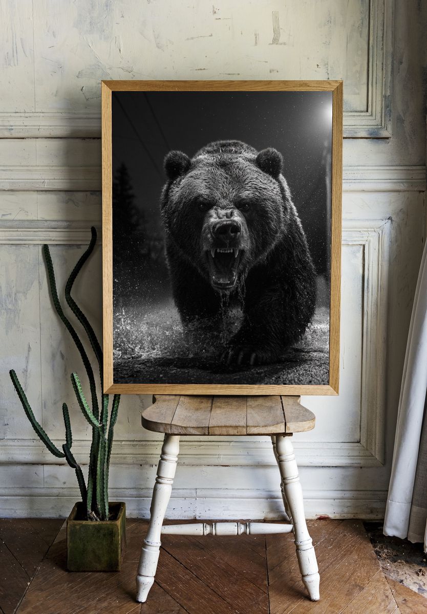 Roaring Bear Black-White Poster. room preview