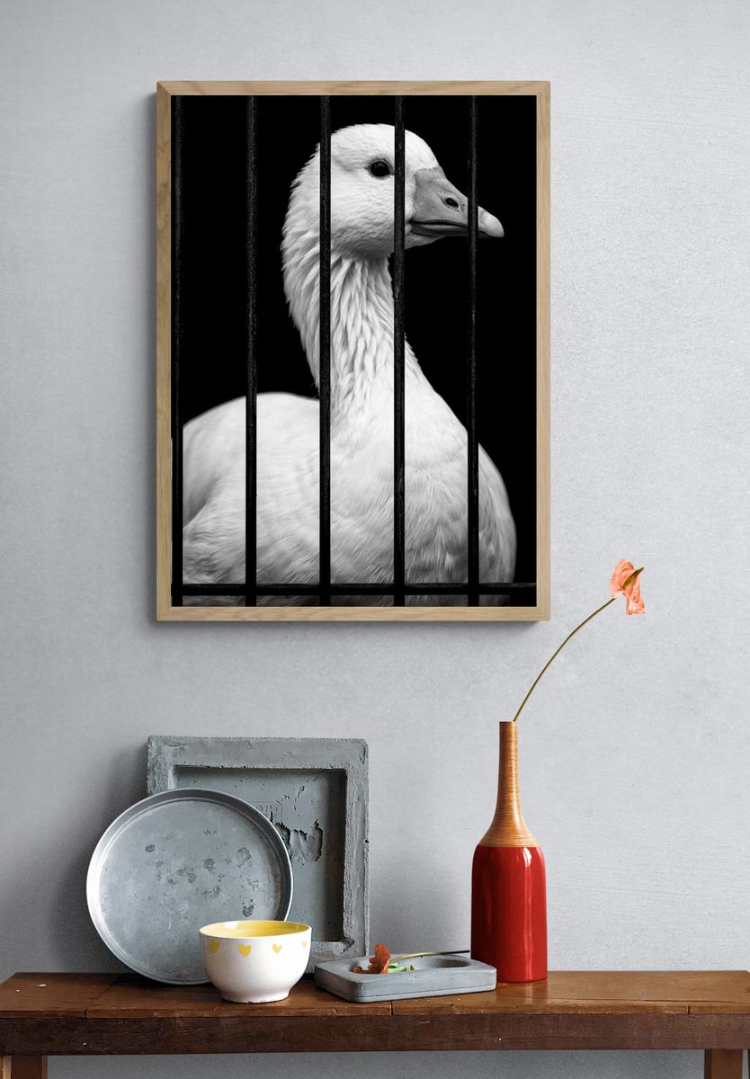 Caged Goose Black-White Poster. — room view 3