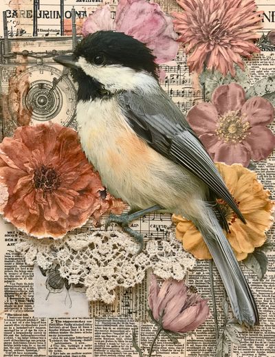 Chickadee Floral Collage Poster. poster