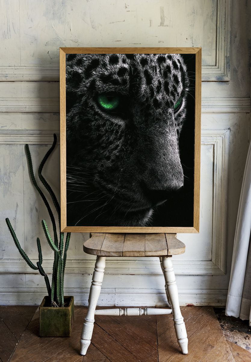 Leopard Eyes Photography Poster. room preview