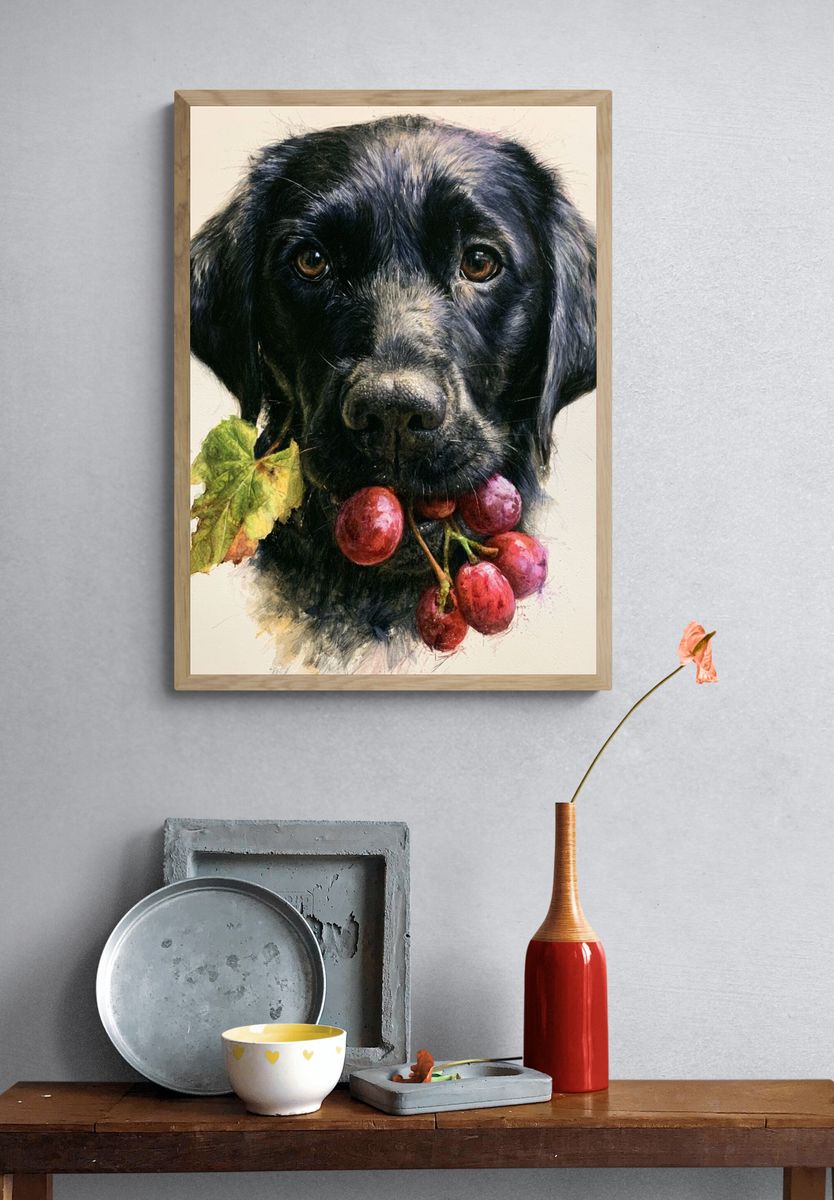 Black Labrador with Grapes Illustration Poster. — room view 3