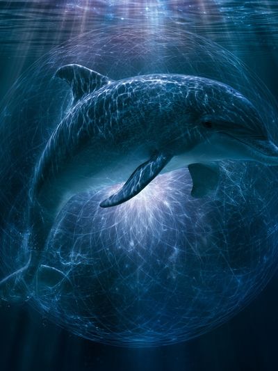 Dolphin Underwater Glow Poster.