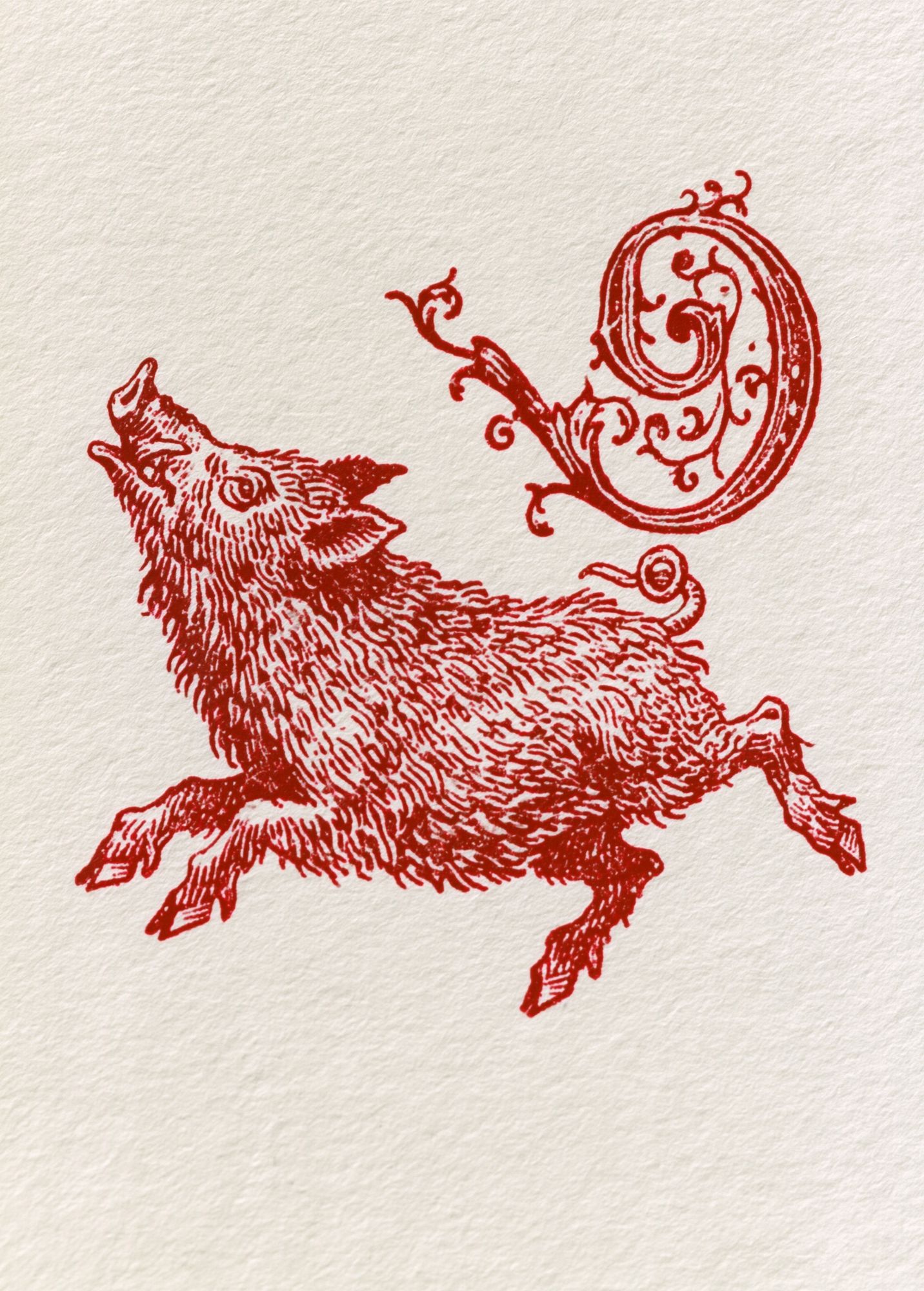 Running Boar Ink Illustration Poster. poster — animals art