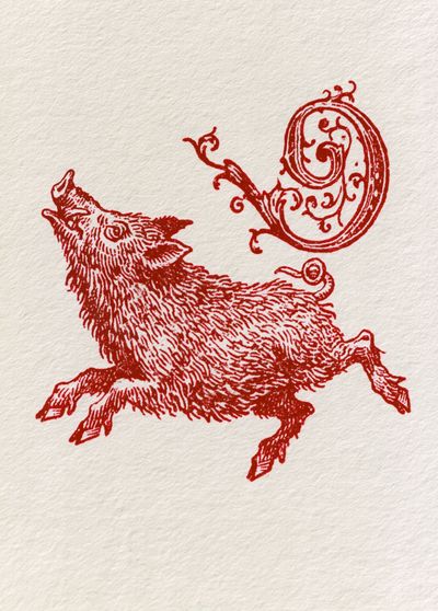 Running Boar Ink Illustration Poster.