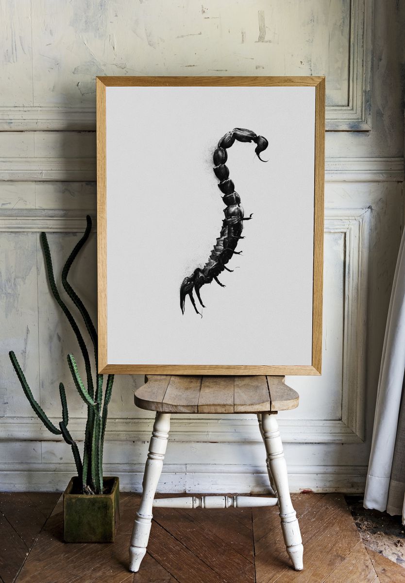 Scorpion Silhouette Black-White Poster. — room view 1