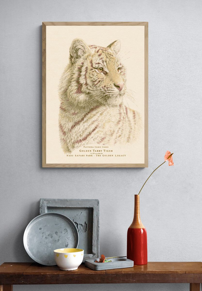 Golden Tabby Tiger Illustration Poster. — room view 3