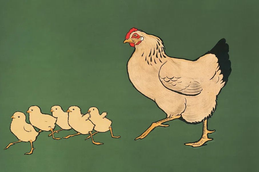 Hen & chickens (1901). Original. poster detail