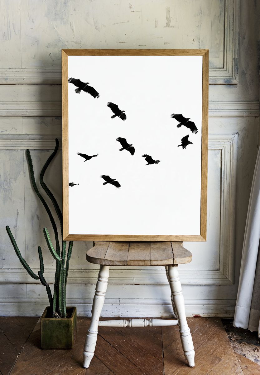 Flying Birds Black-White Poster. room preview