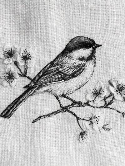 Chickadee Blossom Sketch Poster.