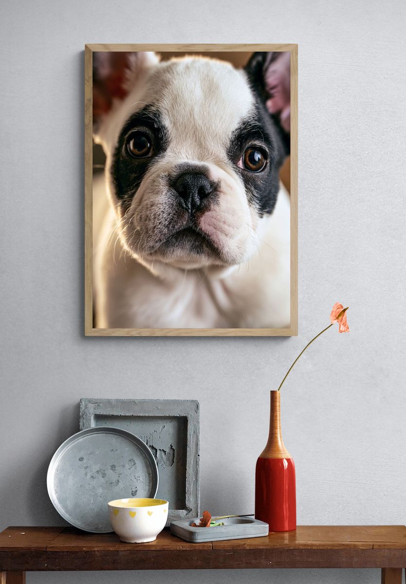 French Bulldog Portrait Poster. — room view 3