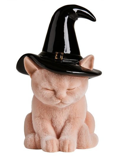 Witch Hat Cat Portrait Print. poster