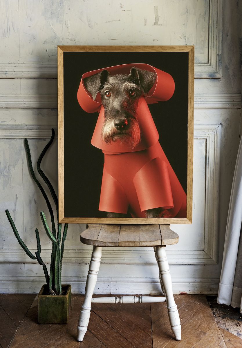Schnauzer in Red Coat Poster. room preview