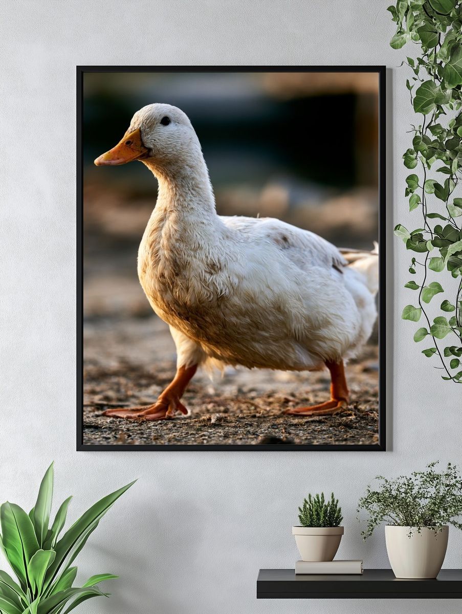 White Duck Portrait Poster. — room view 4