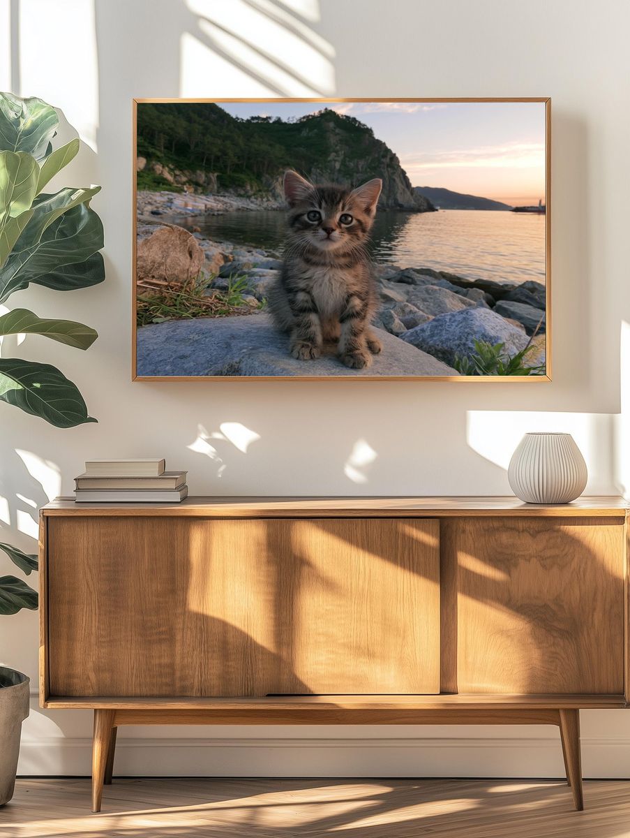 Kitten at Sunset Photography Poster. — room view 3