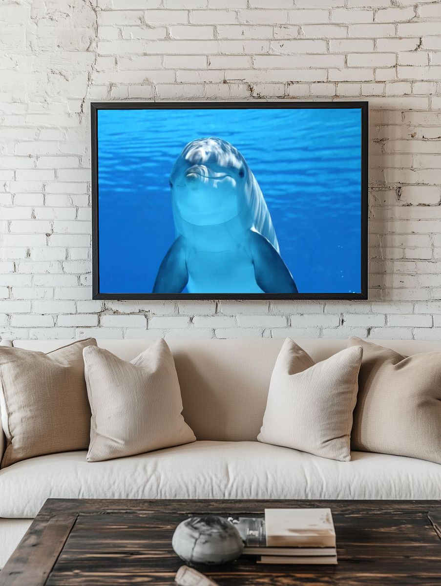 Darkened image dolphin. room preview