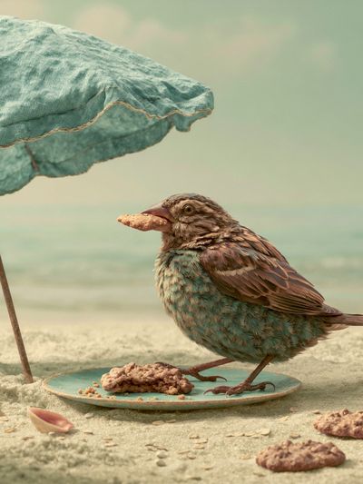 Seaside Bird with Umbrella Print.