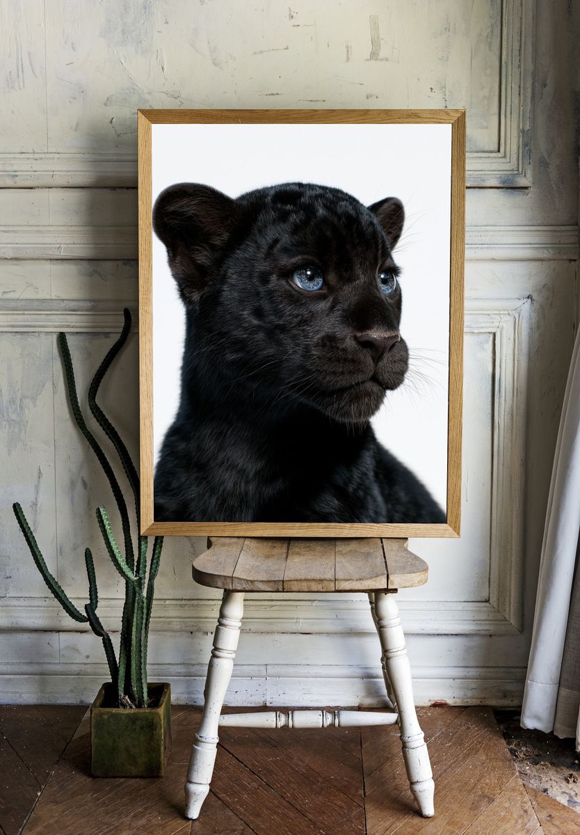 Black Panther Cub Portrait Poster. room preview