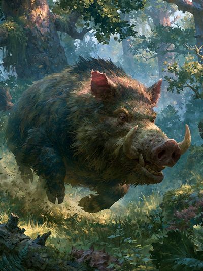 Charging Boar Forest Illustration Poster. poster