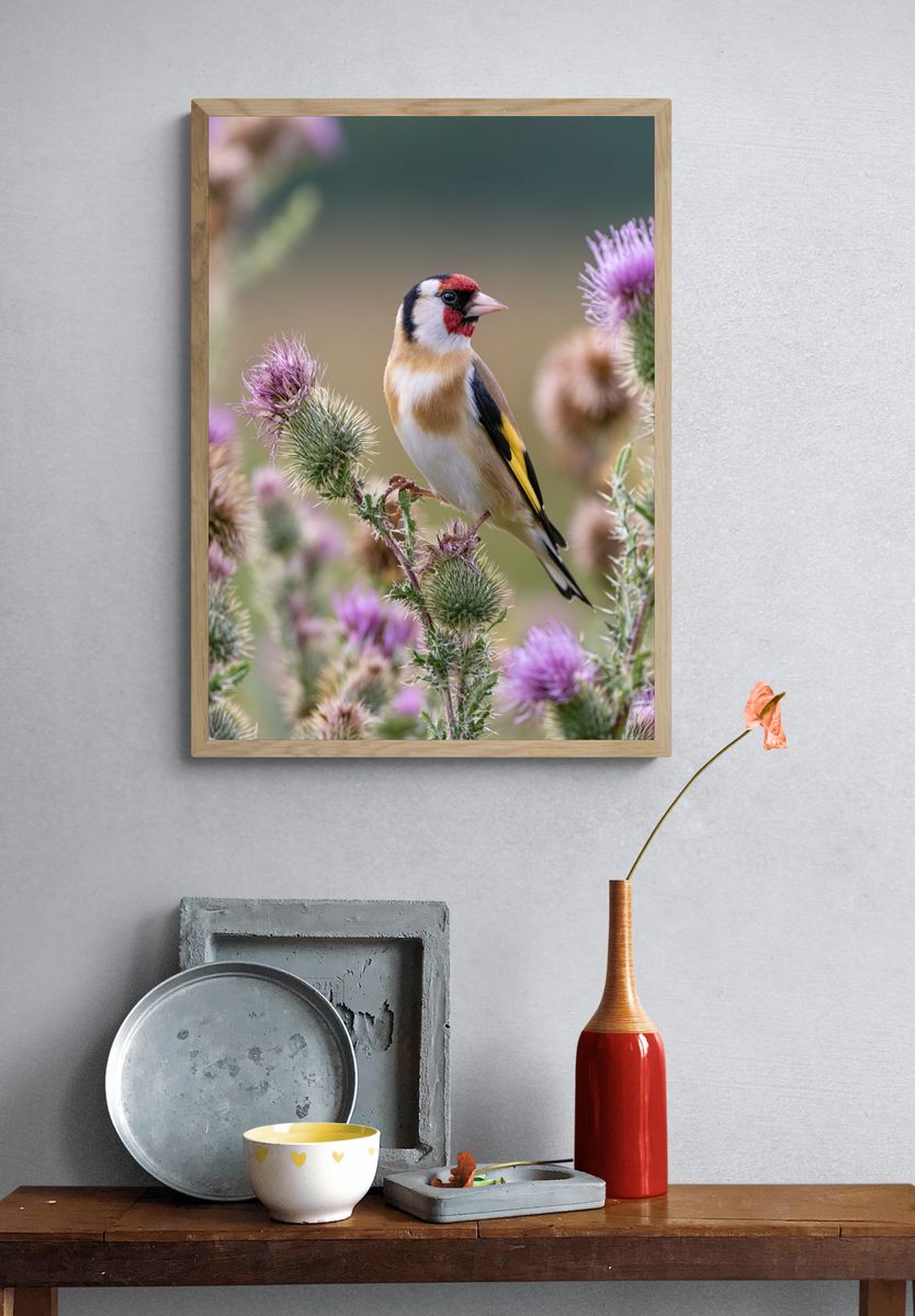 Goldfinch Among Thistles Poster. — room view 3