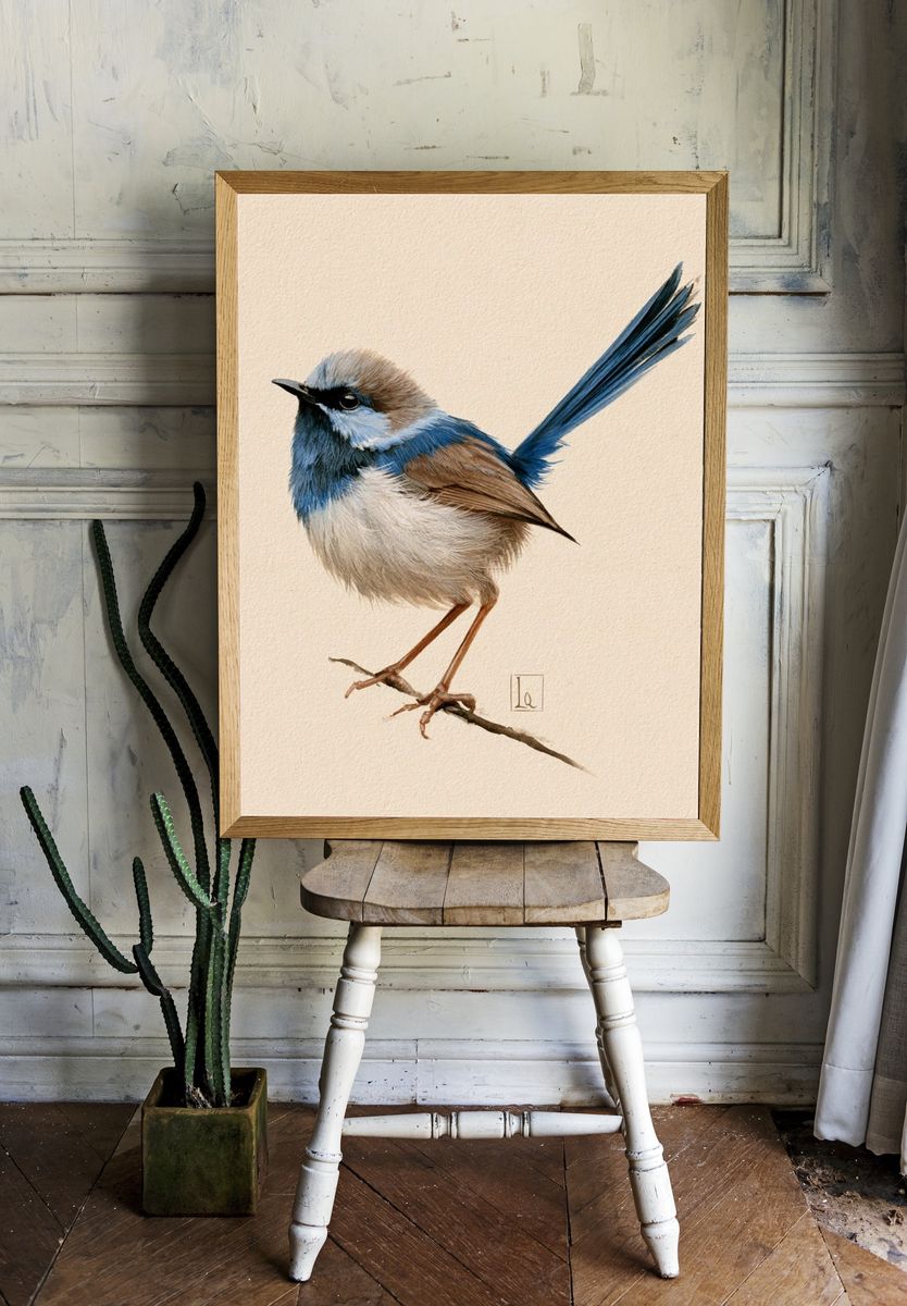 Blue Wren Watercolor Poster. — room view 1