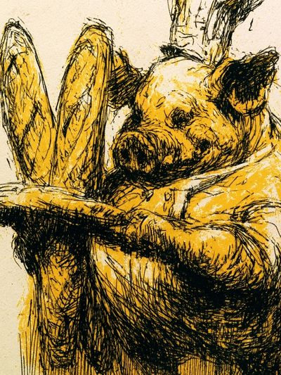 Sleeping Pig Sketch Poster.