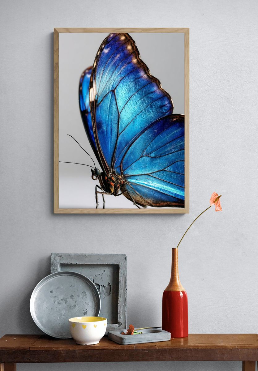 Blue Butterfly Macro Photography Poster. — room view 3