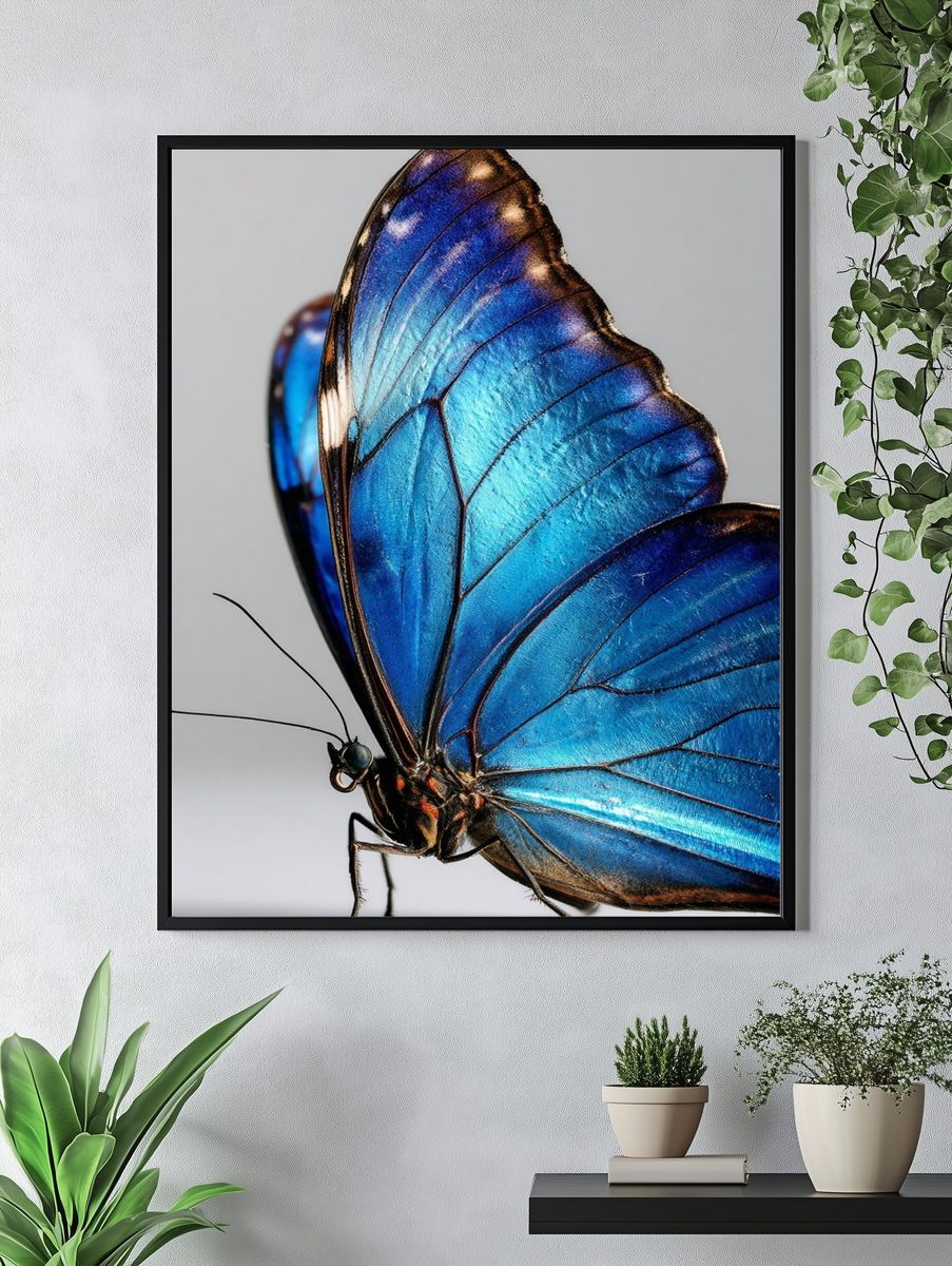 Blue Butterfly Macro Photography Poster. — room view 4