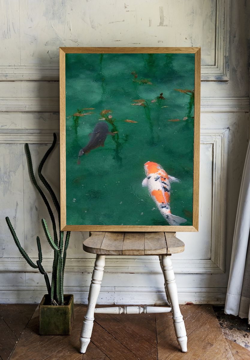 iPhone wallpaper background Koi fish. — room view 1