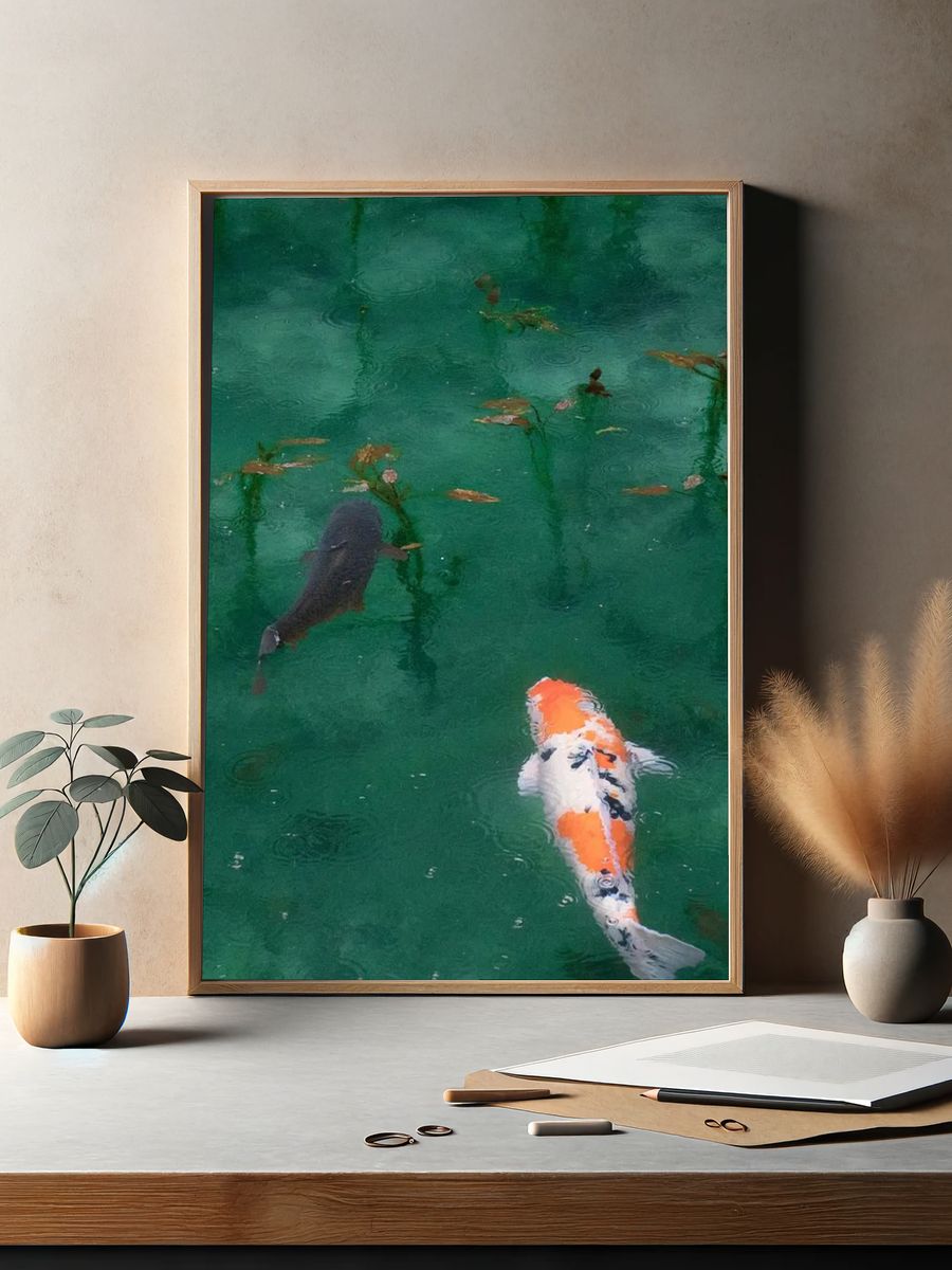 iPhone wallpaper background Koi fish. — room view 2