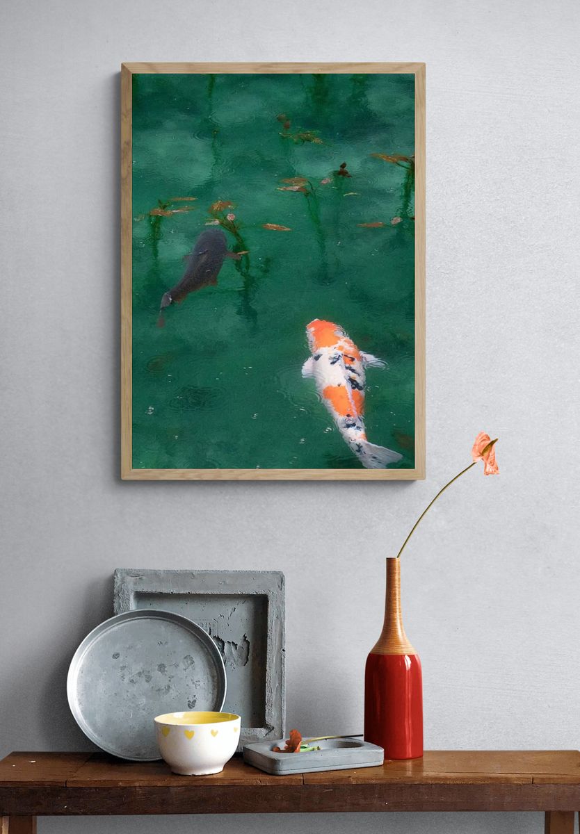 iPhone wallpaper background Koi fish. — room view 3