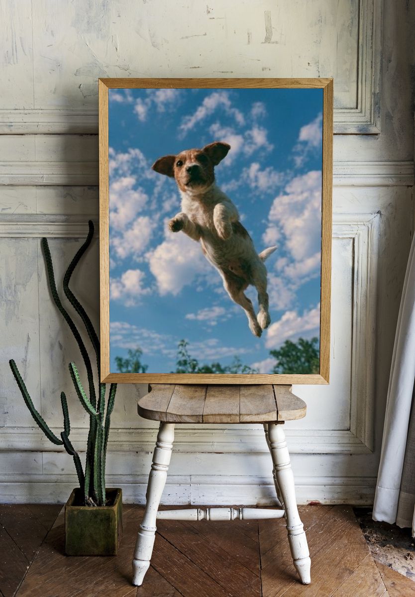 Flying Dog Photography Poster. room preview