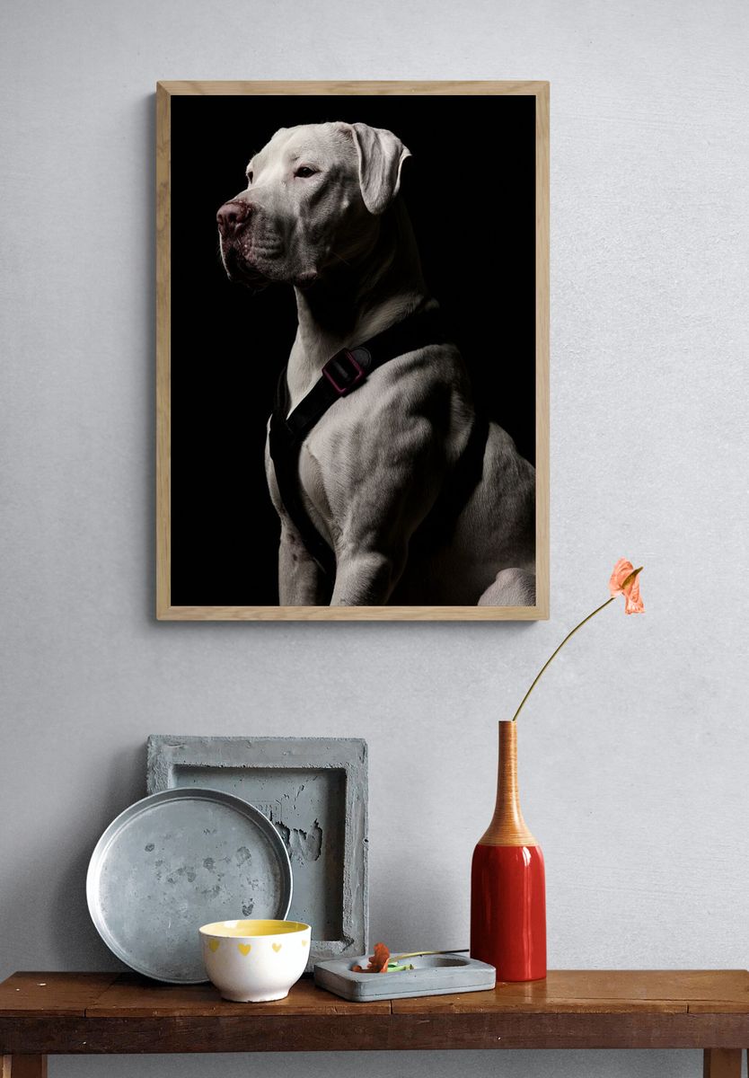 White Dog Portrait Photography Poster. — room view 3