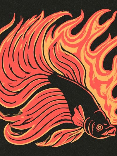 Flaming Betta Fish Illustration Poster.