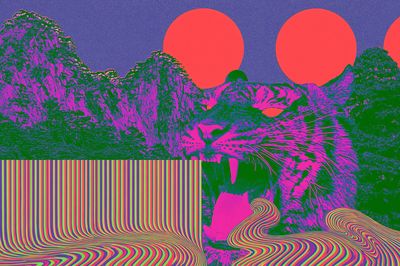 Psychedelic Cat Landscape Poster.