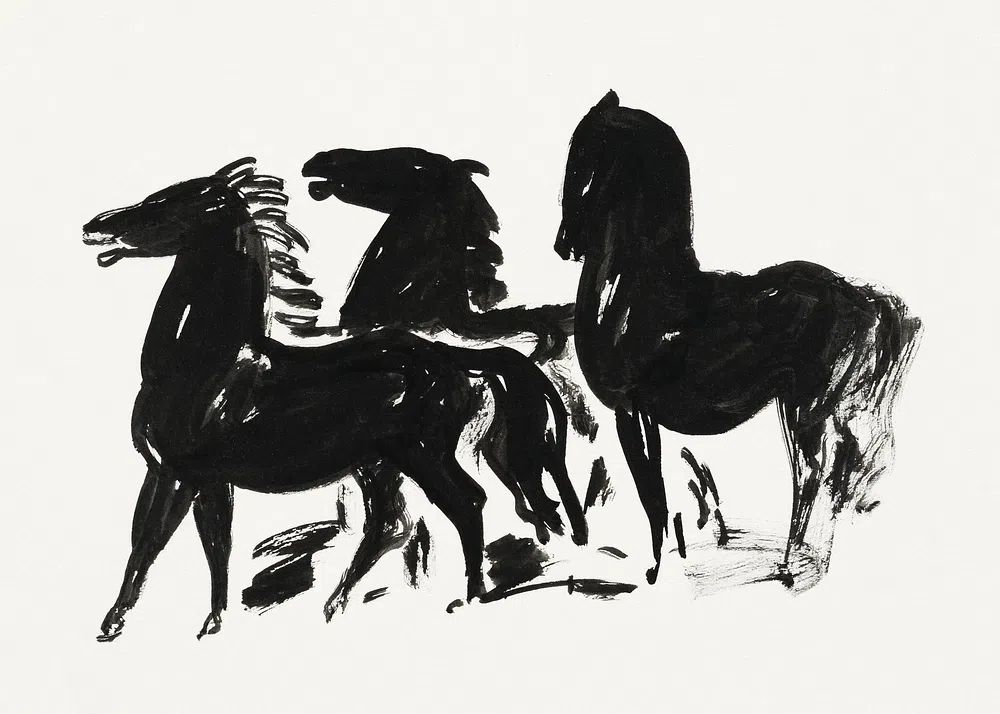 Drie zwarte paarden staand naar. poster — animals art