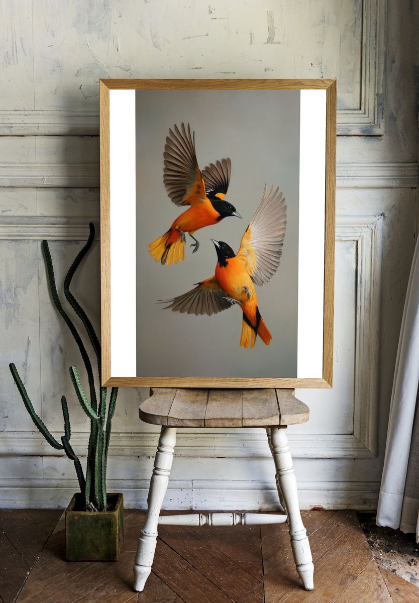 Orioles in Flight Illustration Poster. room preview