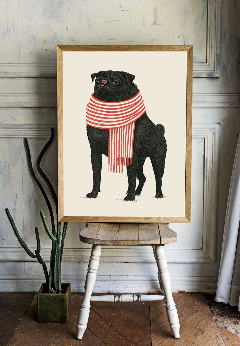 Pug in Striped Scarf Illustration Poster. room preview