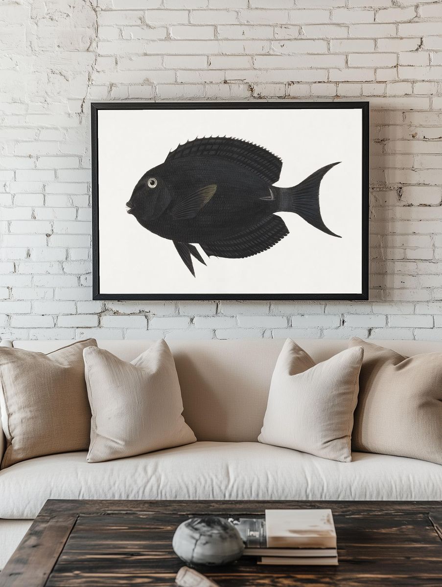 Unidentified Fish (1737–1770), vintage animal. room preview