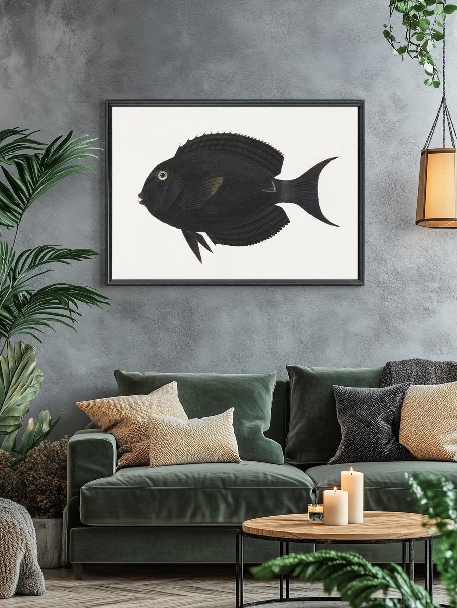 Unidentified Fish (1737–1770), vintage animal. — room view 4
