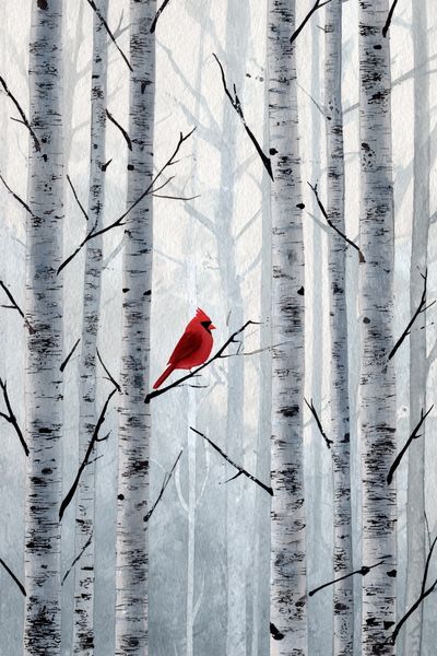 Red Cardinal Birch Forest Print.