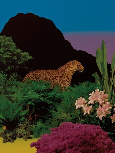 Jungle Leopard Collage Poster. poster print
